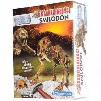 Skamieniałości Smilodon Clementoni
