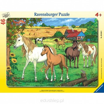 Puzzle 46 Elementów Konie Na Padoku Ravensburger