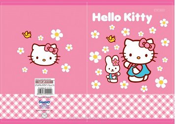 Zeszyty Top 2000 Hello Kitty kratka 32 (TOP41301301)