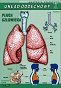 Układ oddechowy - anatomia człowieka plansza dydaktyczna