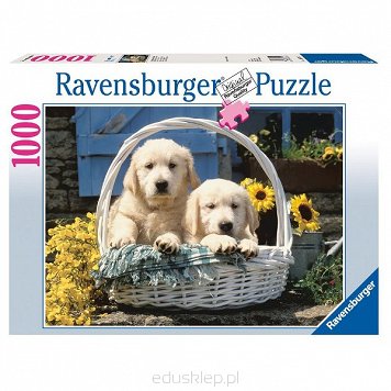 Puzzle 1000 Elementów Koszyk Szczeniaków Ravensburger