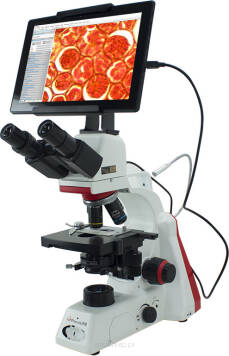 Mikroskopy Phenix to nowoczesne, doskonałe optycznie, wyposażone w szereg przydatnych funkcji urządzenia specjalistyczne.