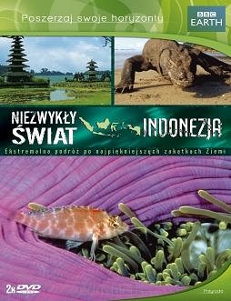 Archipelag indonezyjski składa się z ponad 17 tysięcy wysp i wysepek, tworzących długi na kilka tysięcy kilometrów pas ciągnący się od Azji po Australię. Indonezja to kraina pełna naturalnego piękna.