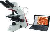 Mikroskop cyfrowy Phenix BMC100, 5MP, 40x-1000x