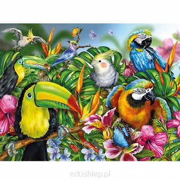 Puzzle 2000 Elementów Ptaki Tropikalne Ravensburger