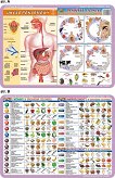 Pasożyty człowieka, układ pokarmowy, witaminy, mikro i makroelementy w organizmie człowieka. Zestaw 30 Podkładek