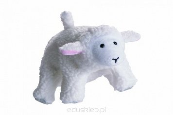 Pacynka na rękę owieczka.  Może służyć pomocą podczas opowiadania bajek oraz w czasie inscenizacji w szkolnym/przedszkolnym teatrze lalek. 
