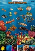 Rafa Koralowa - zwierzęta w środowisku