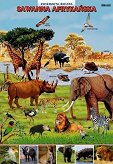 Sawanna Afrykańska - zwierzęta w środowisku