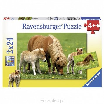 Puzzle 2X24 Elementów Cudowne Koniki Pony Ravensburger