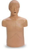 Fantom ratowniczy Adam CPR z elektroniką dorosły