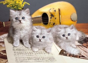 Puzzle 1000 Elementów Muzykalne Koty Clementoni