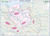 Polska pierwszych Piastów - Ziemie Polskie w czasach rozbicia dzielnicowego - mapa ścienna