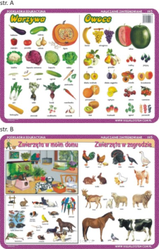 Podkładka edukacyjna zawiera tematy takie jak: owoce, warzywa, zwierzęta w moim domu, zwierzęta w zagrodzie.