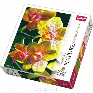 Puzzle 1000 Elementów Nature Orchidea Trefl
