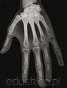 Zdjęcia rentgenowskie - dłoń. 