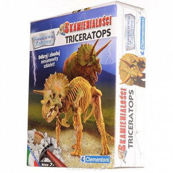 Skamieniałości Triceratops Clementoni