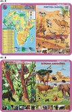 Afryka mapa fizyczna, zwierzęta – pustynia Sahara, dżungla, sawanna. Zestaw 30 Podkladek