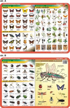 Motyle, owady szkodniki, owady. Zestaw 30 Podkładek